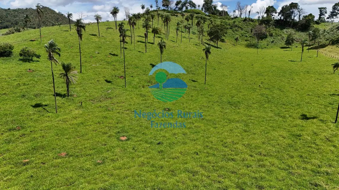 Foto 4 de Fazenda / Haras com 7 quartos à venda, 300m2 em Campinacu - GO