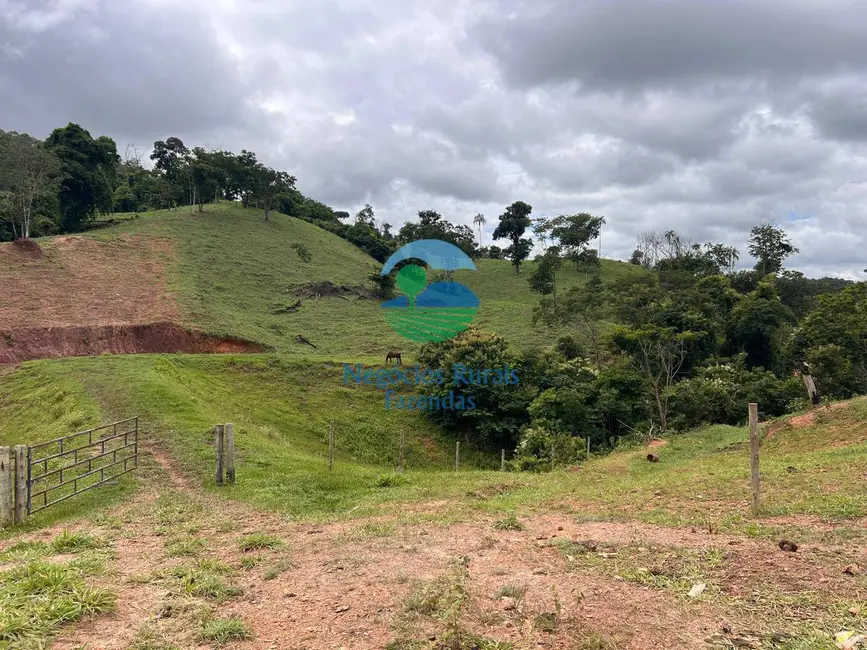 Foto 6 de Fazenda / Haras com 4 quartos à venda, 363m2 em Santa Cruz De Goias - GO