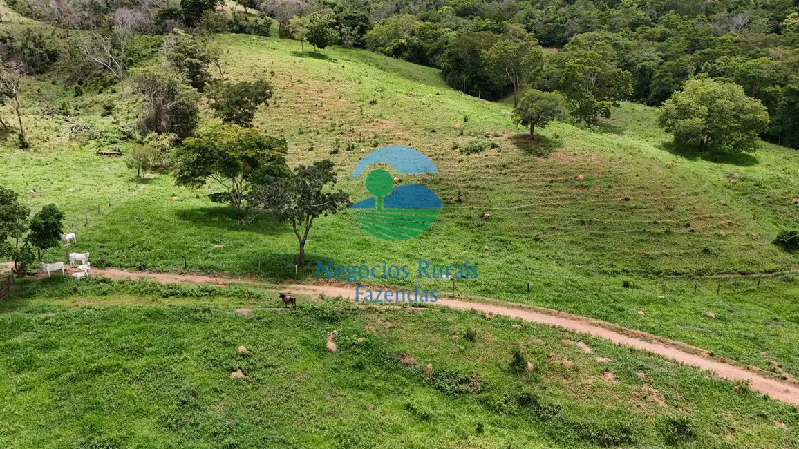 Foto 5 de Fazenda / Haras com 4 quartos à venda, 363m2 em Santa Cruz De Goias - GO