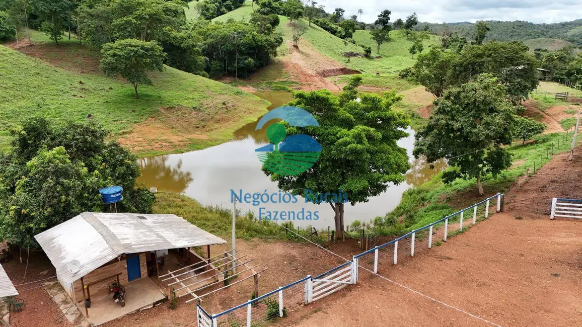 Foto 1 de Fazenda / Haras com 4 quartos à venda, 363m2 em Santa Cruz De Goias - GO