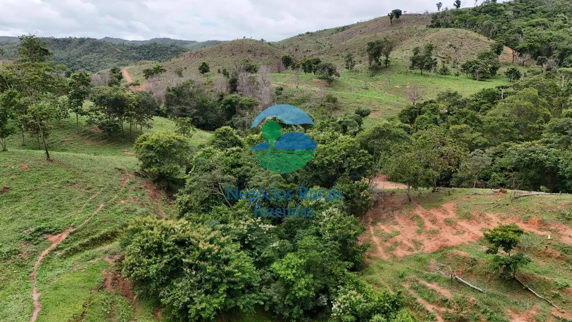 Foto 9 de Fazenda / Haras com 4 quartos à venda, 363m2 em Santa Cruz De Goias - GO