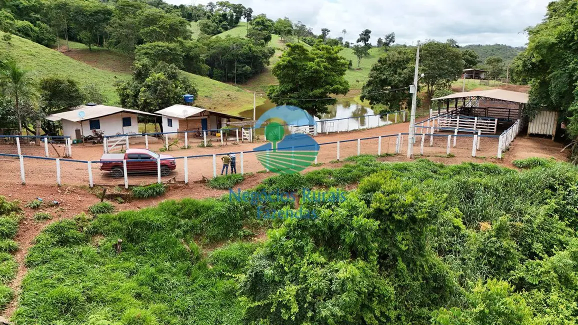 Foto 2 de Fazenda / Haras com 4 quartos à venda, 363m2 em Santa Cruz De Goias - GO