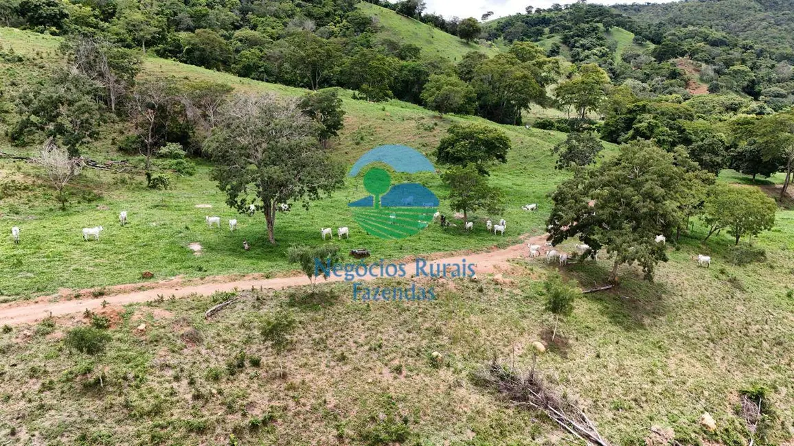 Foto 8 de Fazenda / Haras com 4 quartos à venda, 363m2 em Santa Cruz De Goias - GO