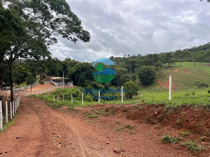 Foto 4 de Fazenda / Haras com 4 quartos à venda, 363m2 em Santa Cruz De Goias - GO