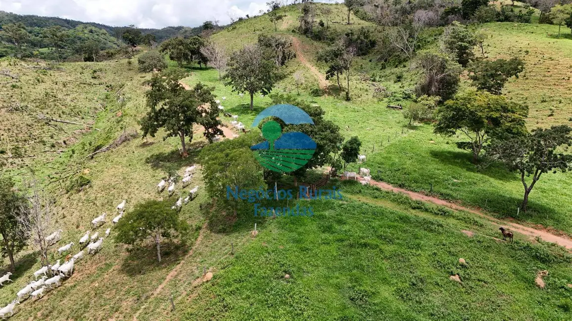 Foto 3 de Fazenda / Haras com 4 quartos à venda, 363m2 em Santa Cruz De Goias - GO