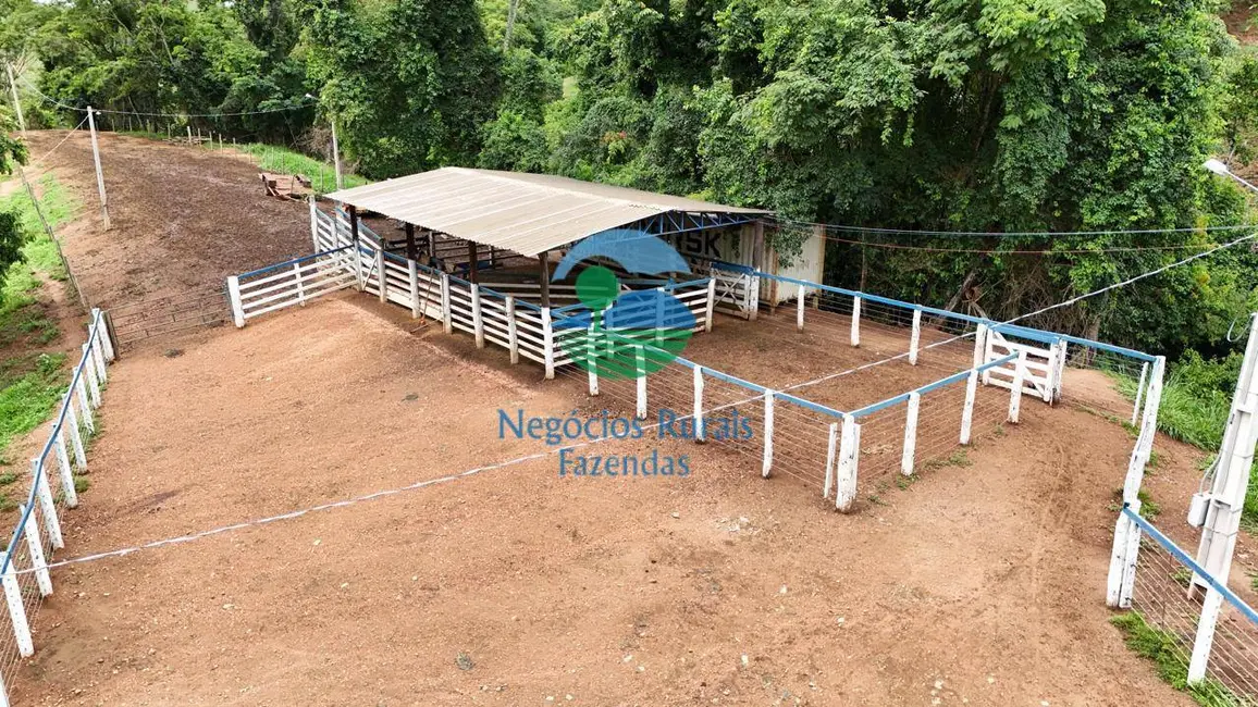Foto 7 de Fazenda / Haras com 4 quartos à venda, 363m2 em Santa Cruz De Goias - GO