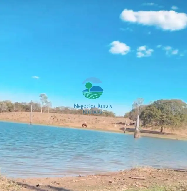 Foto 6 de Fazenda / Haras com 6 quartos à venda, 435m2 em Setor Central, Amaralina - GO
