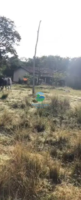 Foto 3 de Fazenda / Haras com 6 quartos à venda, 435m2 em Setor Central, Amaralina - GO