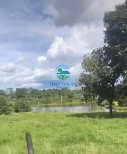 Foto 1 de Fazenda / Haras com 6 quartos à venda, 435m2 em Setor Central, Amaralina - GO