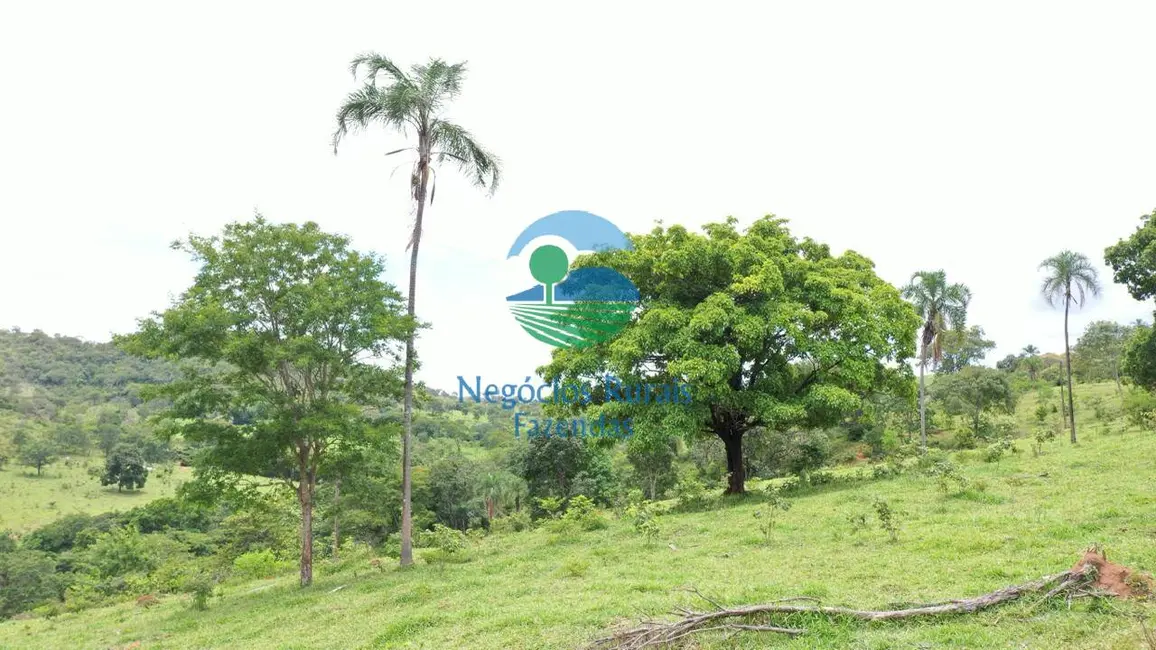 Foto 6 de Fazenda / Haras com 7 quartos à venda, 667m2 em Padre Bernardo - GO