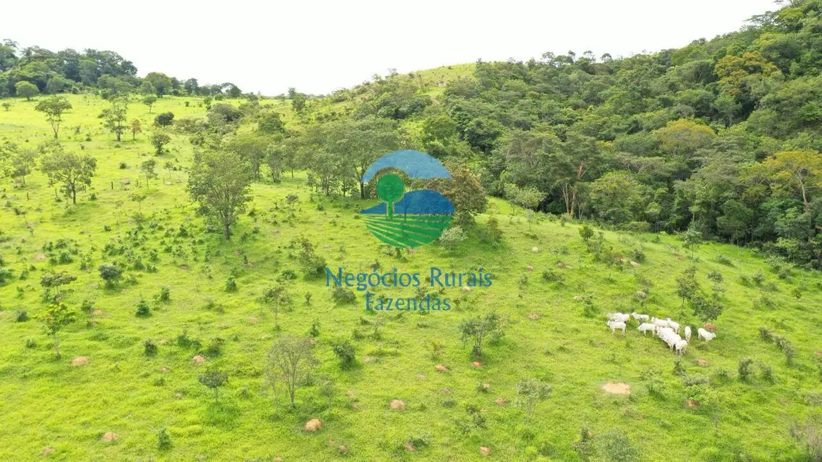 Foto 9 de Fazenda / Haras com 7 quartos à venda, 667m2 em Padre Bernardo - GO