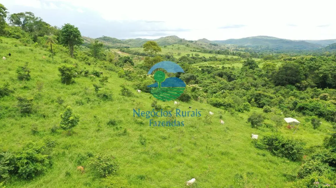 Foto 5 de Fazenda / Haras com 7 quartos à venda, 667m2 em Padre Bernardo - GO