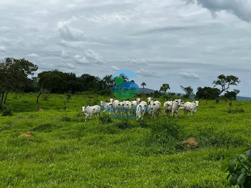 Foto 4 de Fazenda / Haras com 7 quartos à venda, 667m2 em Padre Bernardo - GO