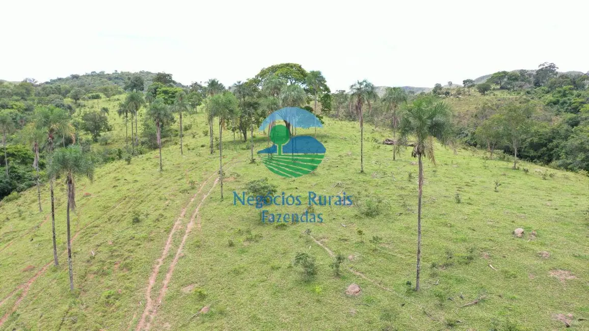 Foto 1 de Fazenda / Haras com 7 quartos à venda, 667m2 em Padre Bernardo - GO