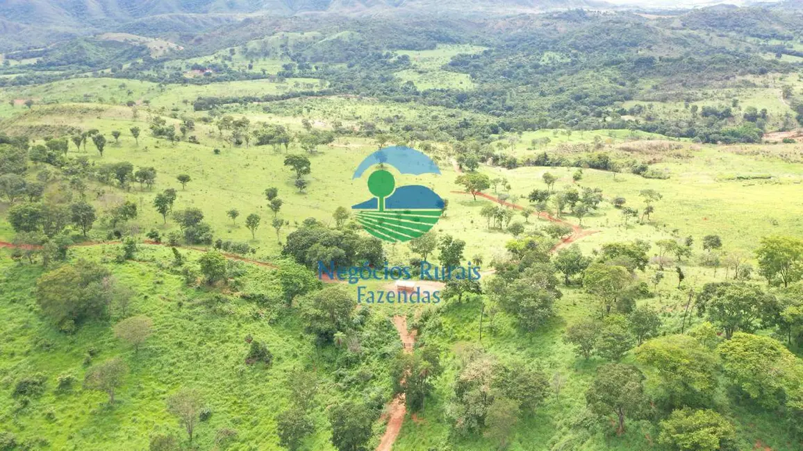 Foto 8 de Fazenda / Haras com 7 quartos à venda, 667m2 em Padre Bernardo - GO