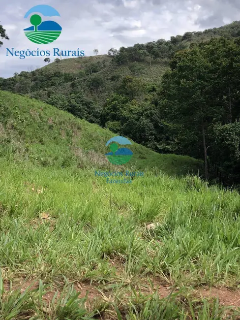 Fazenda / Haras com 5 quartos à venda, 1810m2 em Formoso - GO - imagem 9 Foto 9 de Fazenda / Haras com 5 quartos à venda, 1810m2 em Formoso - GO