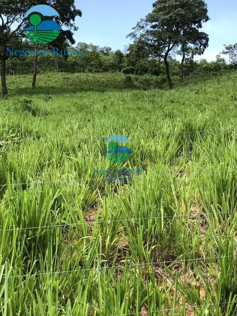 Fazenda / Haras com 5 quartos à venda, 1810m2 em Formoso - GO - imagem 2 Foto 2 de Fazenda / Haras com 5 quartos à venda, 1810m2 em Formoso - GO