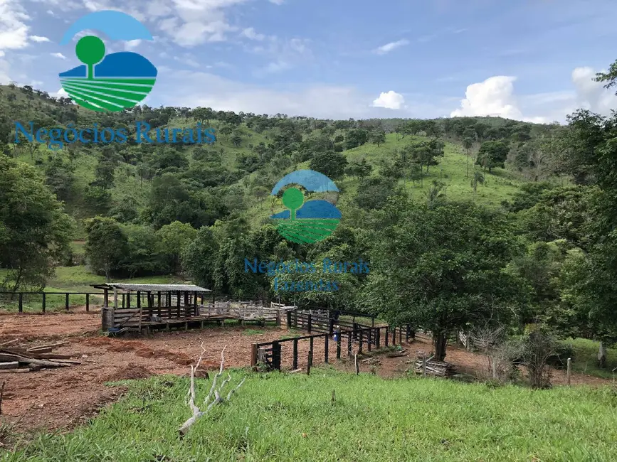 Fazenda / Haras com 5 quartos à venda, 1810m2 em Formoso - GO - imagem 8 Foto 8 de Fazenda / Haras com 5 quartos à venda, 1810m2 em Formoso - GO