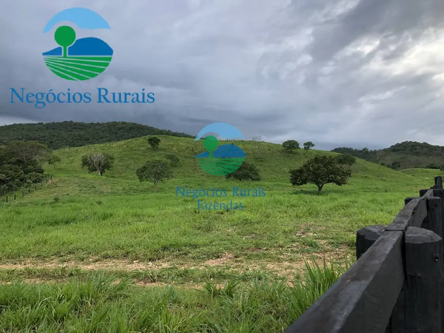 Fazenda / Haras com 5 quartos à venda, 1810m2 em Formoso - GO - imagem 6 Foto 6 de Fazenda / Haras com 5 quartos à venda, 1810m2 em Formoso - GO