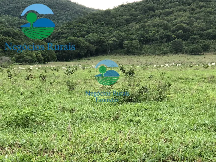 Fazenda / Haras com 5 quartos à venda, 1810m2 em Formoso - GO - imagem 5 Foto 5 de Fazenda / Haras com 5 quartos à venda, 1810m2 em Formoso - GO