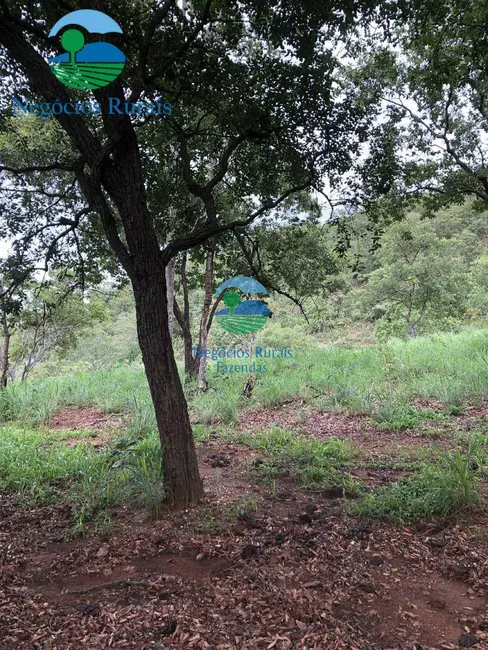 Fazenda / Haras com 5 quartos à venda, 1810m2 em Formoso - GO - imagem 7 Foto 7 de Fazenda / Haras com 5 quartos à venda, 1810m2 em Formoso - GO