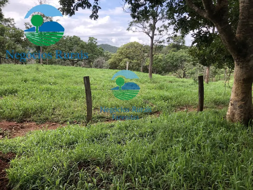 Fazenda / Haras com 5 quartos à venda, 1810m2 em Formoso - GO - imagem 4 Foto 4 de Fazenda / Haras com 5 quartos à venda, 1810m2 em Formoso - GO
