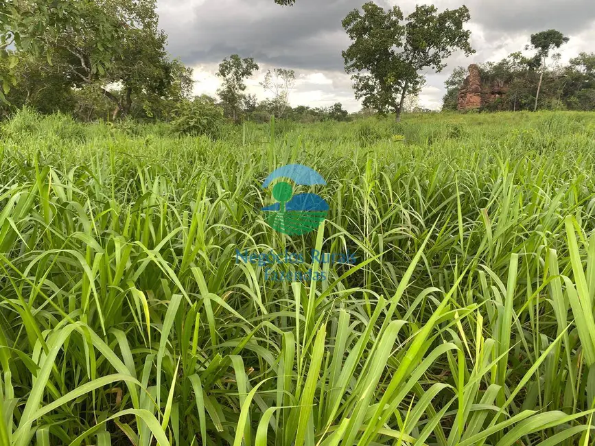 Foto 1 de Fazenda / Haras com 6 quartos à venda, 2078m2 em Darcinopolis - TO