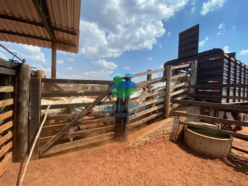 Foto 3 de Fazenda / Haras com 6 quartos à venda, 2078m2 em Darcinopolis - TO