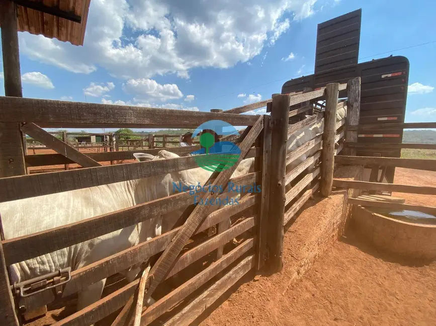Foto 4 de Fazenda / Haras com 6 quartos à venda, 2078m2 em Darcinopolis - TO