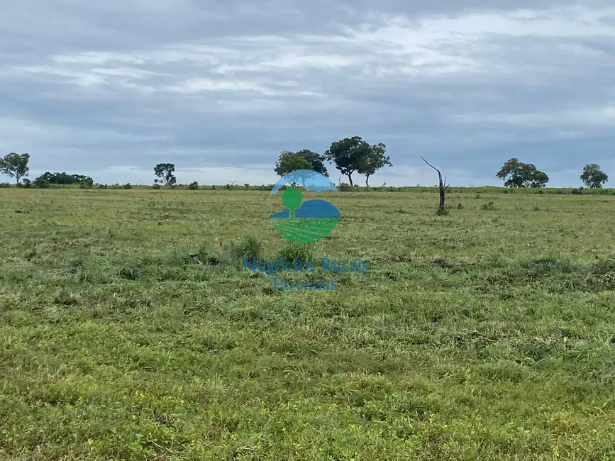 Foto 5 de Fazenda / Haras com 6 quartos à venda, 2078m2 em Darcinopolis - TO