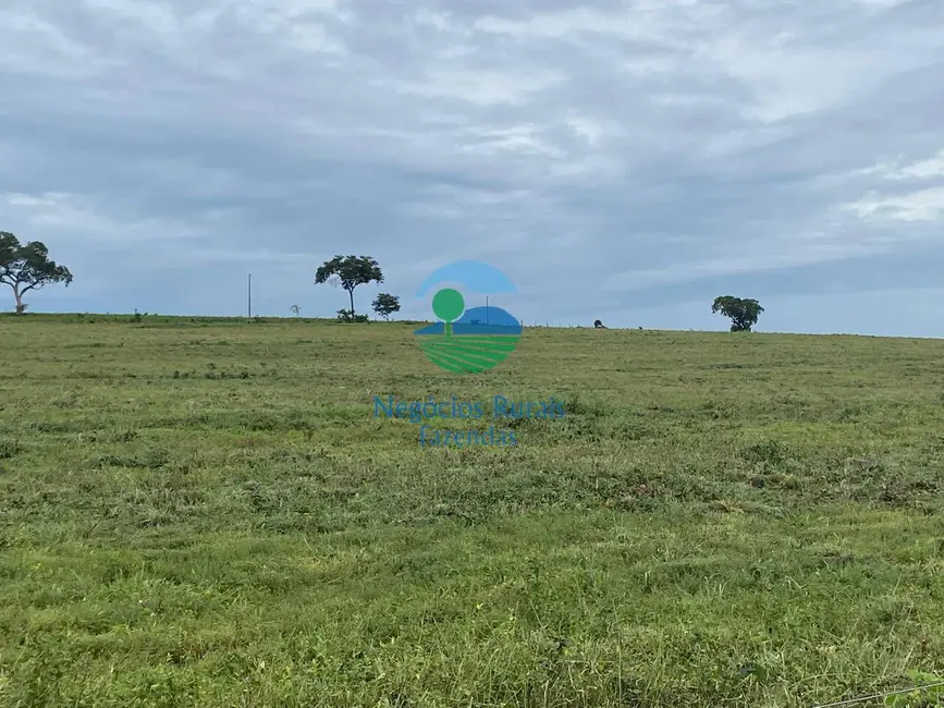 Foto 9 de Fazenda / Haras com 6 quartos à venda, 2078m2 em Darcinopolis - TO