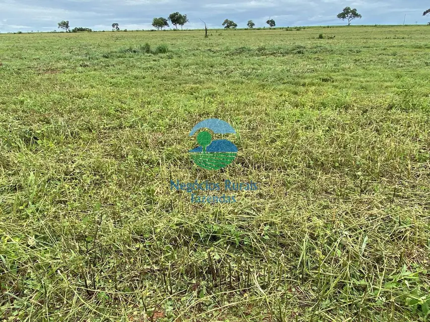 Foto 6 de Fazenda / Haras com 6 quartos à venda, 2078m2 em Darcinopolis - TO