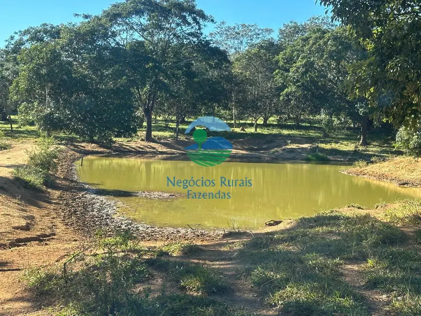Foto 7 de Fazenda / Haras à venda, 992m2 em Área Rural de Luziânia, Luziania - GO