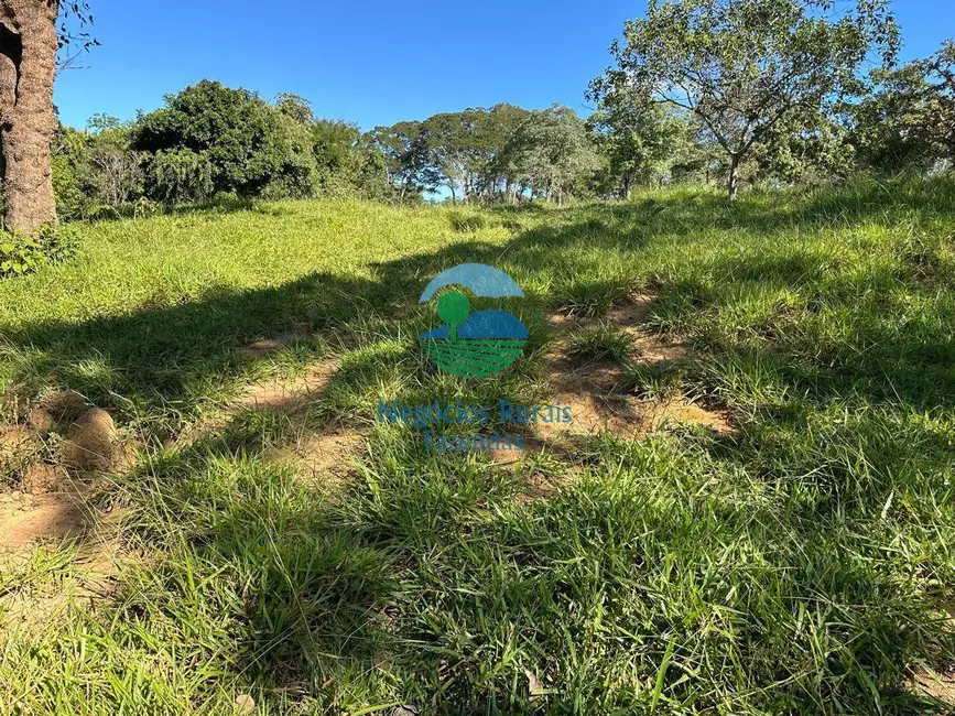 Foto 6 de Fazenda / Haras à venda, 992m2 em Área Rural de Luziânia, Luziania - GO