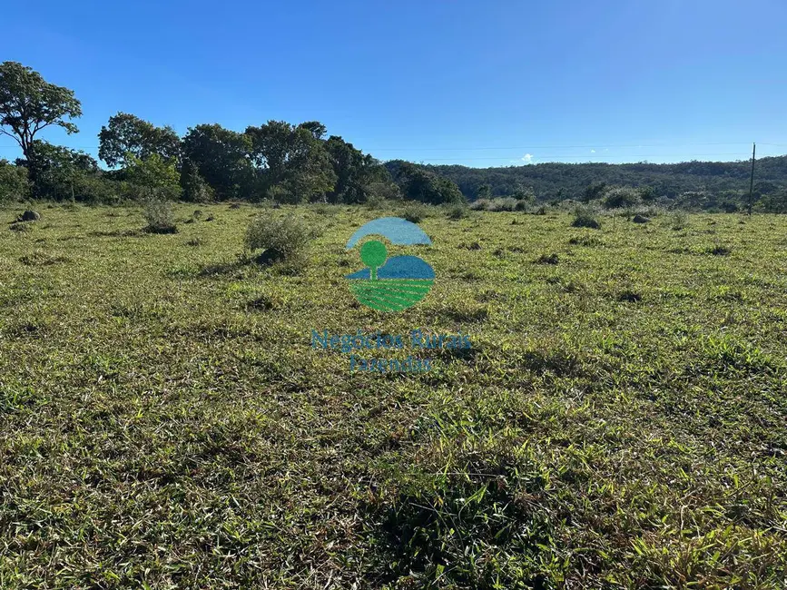 Foto 2 de Fazenda / Haras à venda, 992m2 em Área Rural de Luziânia, Luziania - GO
