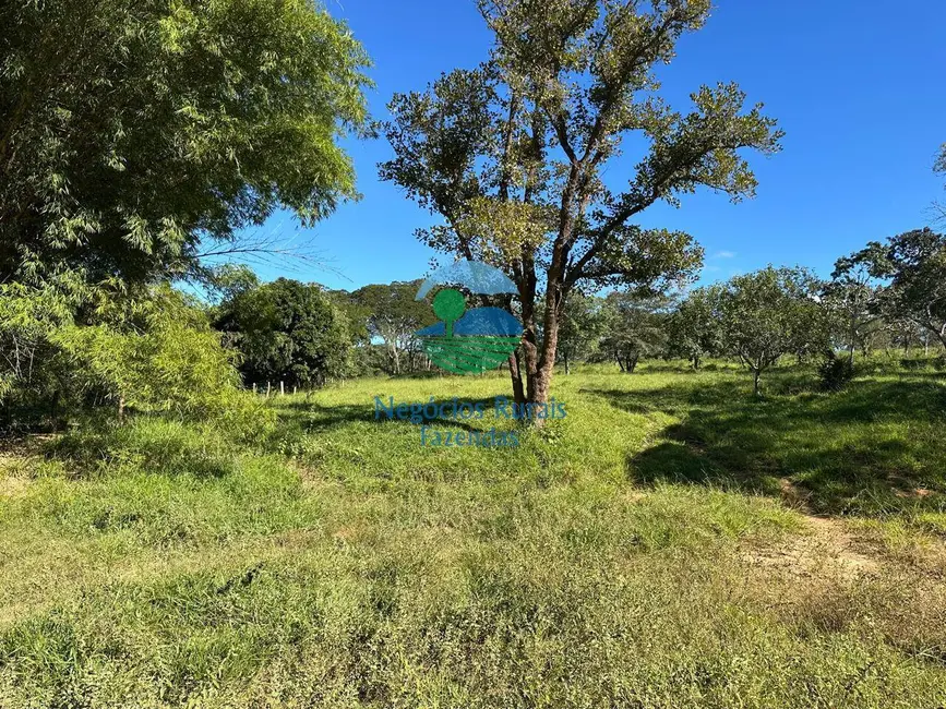 Foto 4 de Fazenda / Haras à venda, 992m2 em Área Rural de Luziânia, Luziania - GO