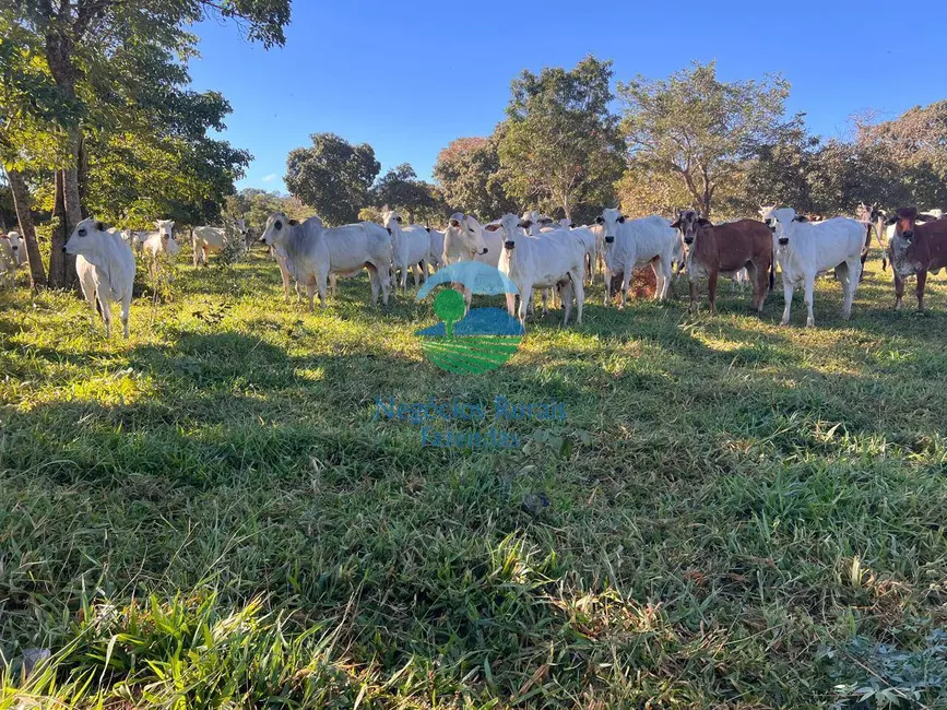 Foto 1 de Fazenda / Haras à venda, 992m2 em Área Rural de Luziânia, Luziania - GO