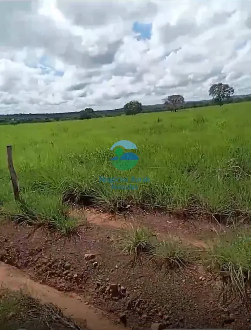 Foto 4 de Fazenda / Haras à venda, 1980m2 em Sao Valerio Da Natividade - TO