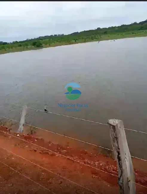 Foto 6 de Fazenda / Haras à venda, 1980m2 em Sao Valerio Da Natividade - TO
