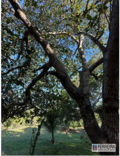 Foto 4 de Chácara com 4 quartos à venda, 39000m2 em Aracas - BA