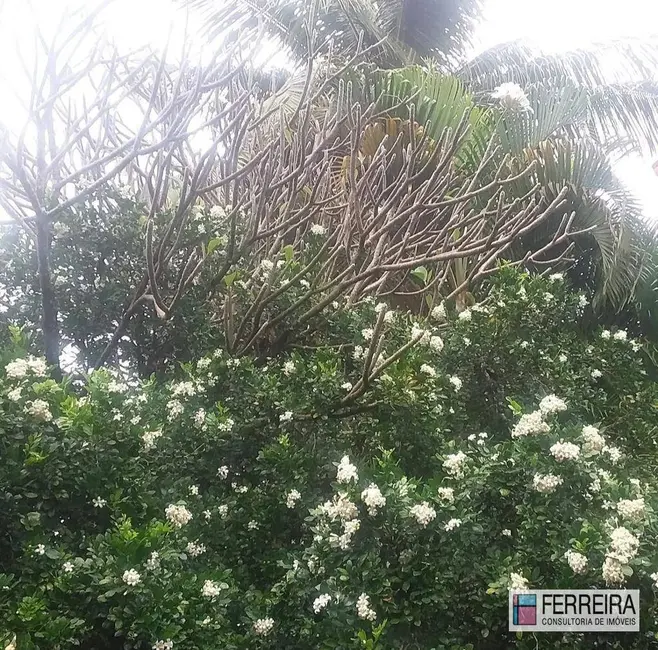 Casa com 4 quartos à venda, 630m2 em Caminho das Árvores, Salvador - BA - imagem 5 Foto 5 de Casa com 4 quartos à venda, 630m2 em Caminho das Árvores, Salvador - BA