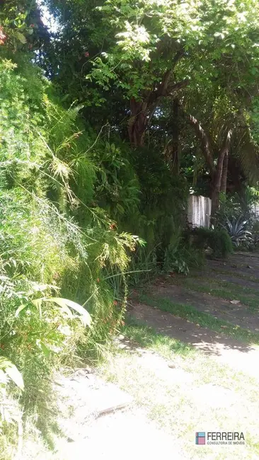 Casa com 4 quartos à venda, 630m2 em Caminho das Árvores, Salvador - BA - imagem 3 Foto 3 de Casa com 4 quartos à venda, 630m2 em Caminho das Árvores, Salvador - BA