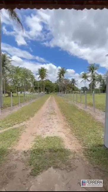 Foto 2 de Fazenda / Haras com 4 quartos à venda, 95832m2 em Santo Amaro - BA