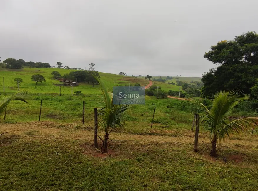 Foto 1 de Terreno / Lote à venda em Chácaras Califórnia, Aracatuba - SP