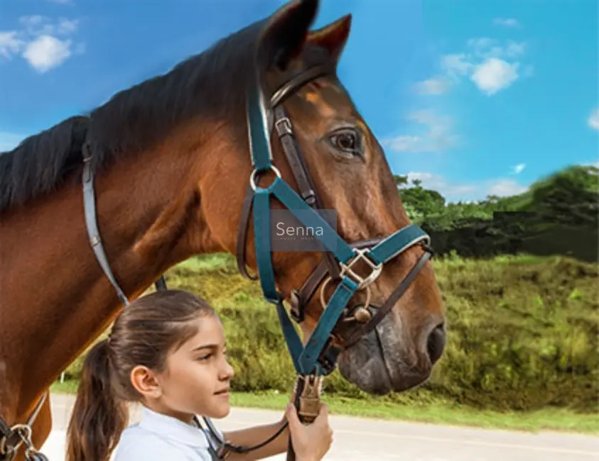 Foto 6 de Terreno / Lote à venda, 800m2 em Jundiai - SP