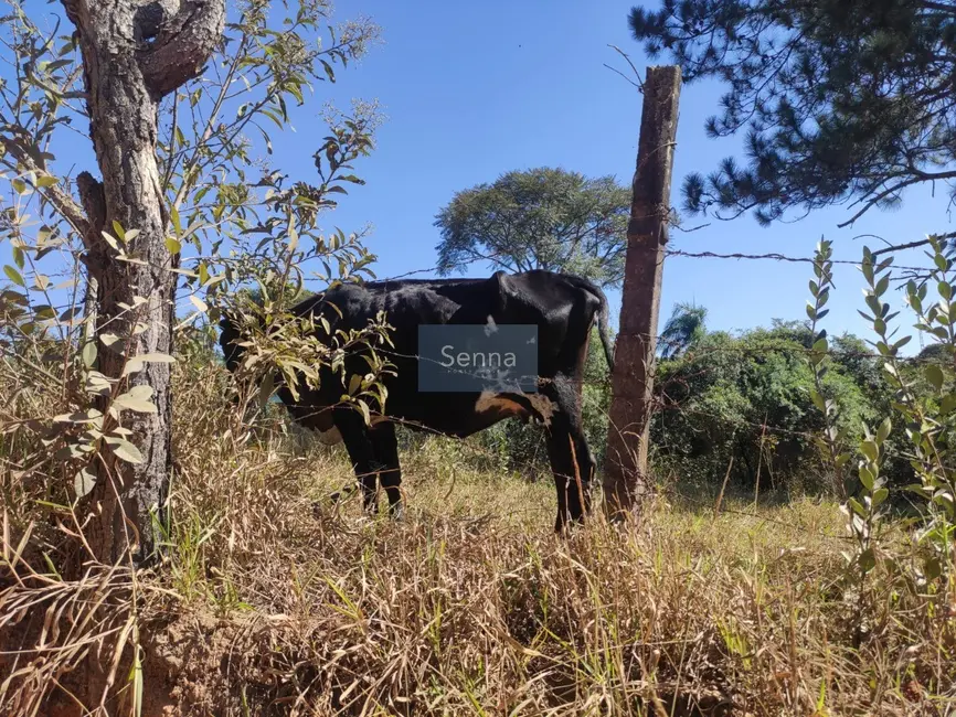 Foto 6 de Terreno / Lote à venda, 1778m2 em Estância São Paulo, Campo Limpo Paulista - SP