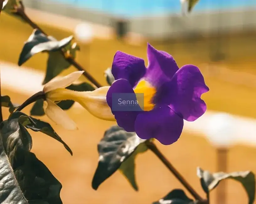 Foto 9 de Terreno / Lote à venda, 1000m2 em Caxambu, Jundiai - SP