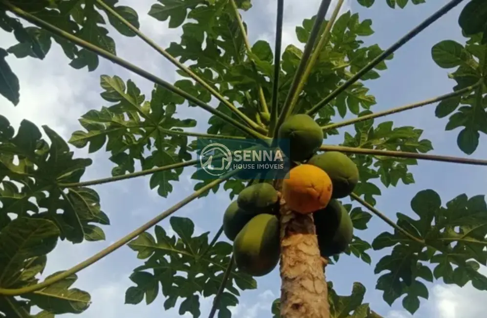 Foto 6 de Chácara com 4 quartos à venda, 140m2 em Maracanã, Jarinu - SP