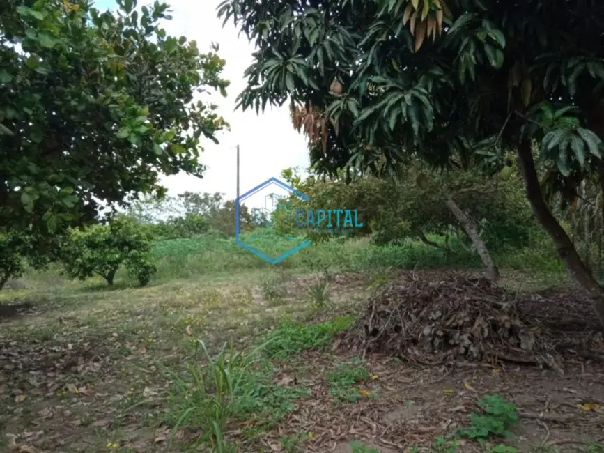 Foto 2 de Fazenda / Haras com 2 quartos à venda, 60m2 em Feira De Santana - BA