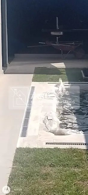 Foto 5 de Casa de Condomínio com 3 quartos à venda, 180m2 em Jardim Jacinto, Jacarei - SP